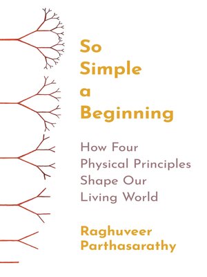 So Simple a Beginning - ebook